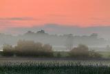 Misty Dawn_00644-7